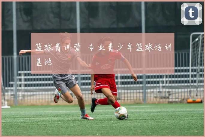 篮球青训营 专业青少年篮球培训基地