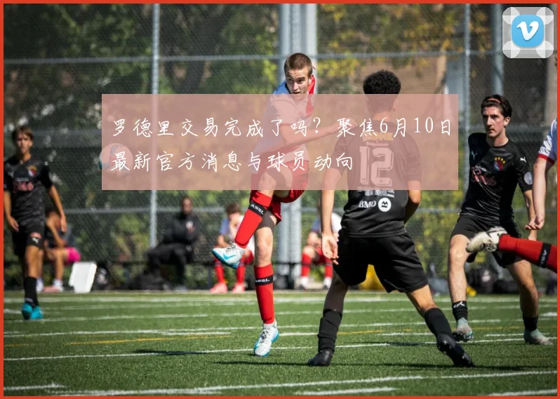 罗德里交易完成了吗？聚焦6月10日最新官方消息与球员动向